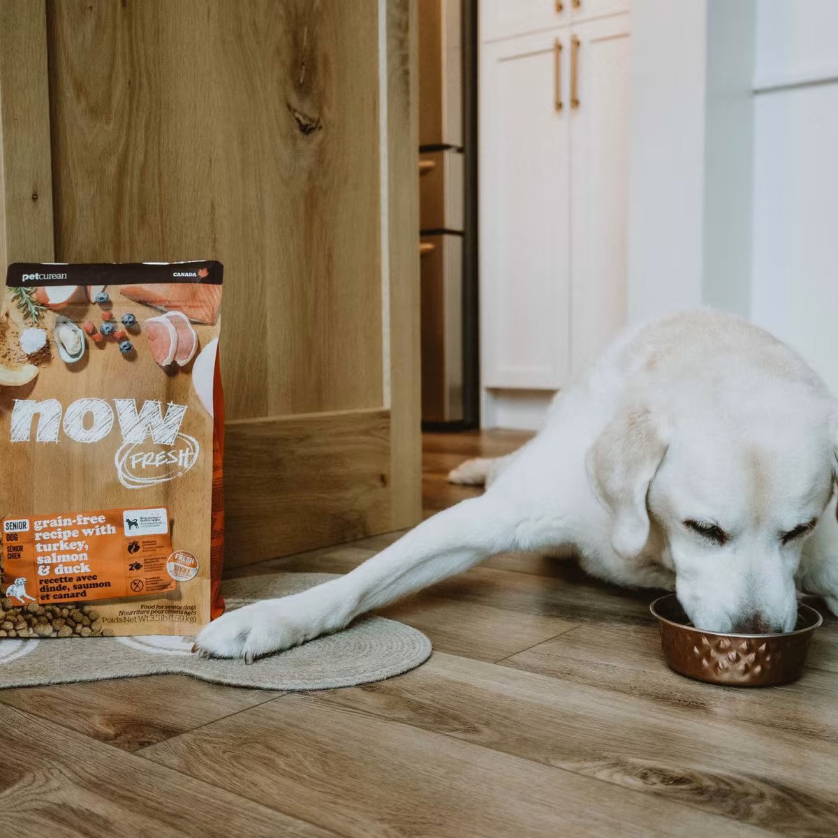 Senior Grain Free Turkey Duck & Salmon Dog Dry Food - Image 3