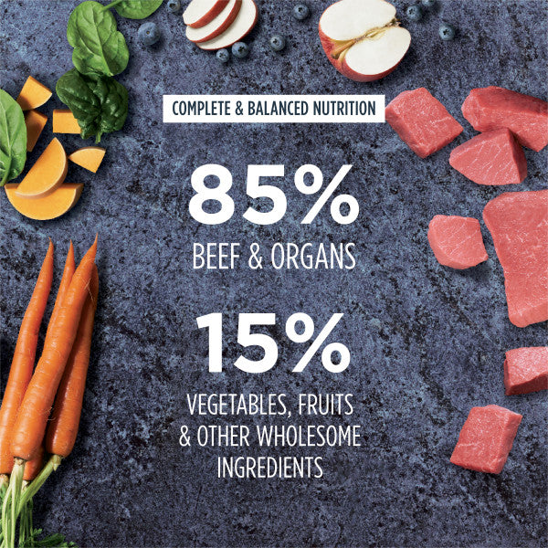 Freeze Dried Raw Meals - Beef Dog Food - Image 4
