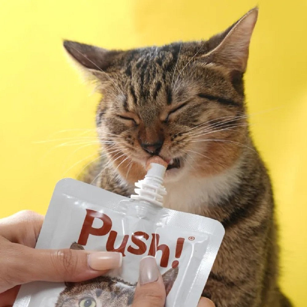 Strong Bone Protect Three Fish Mousse Paste Cat Pouch - Image 3