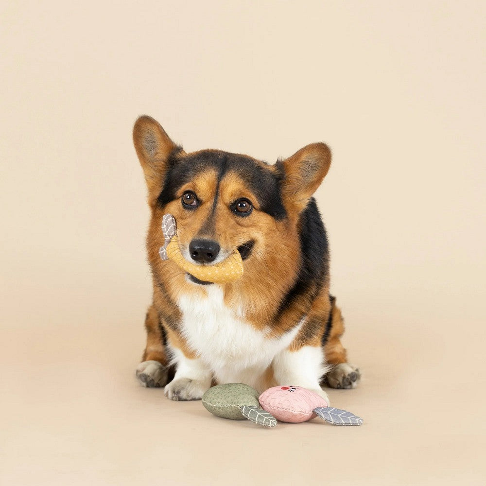 Freshly Picked Canvas Dog Plush Toy - Image 3