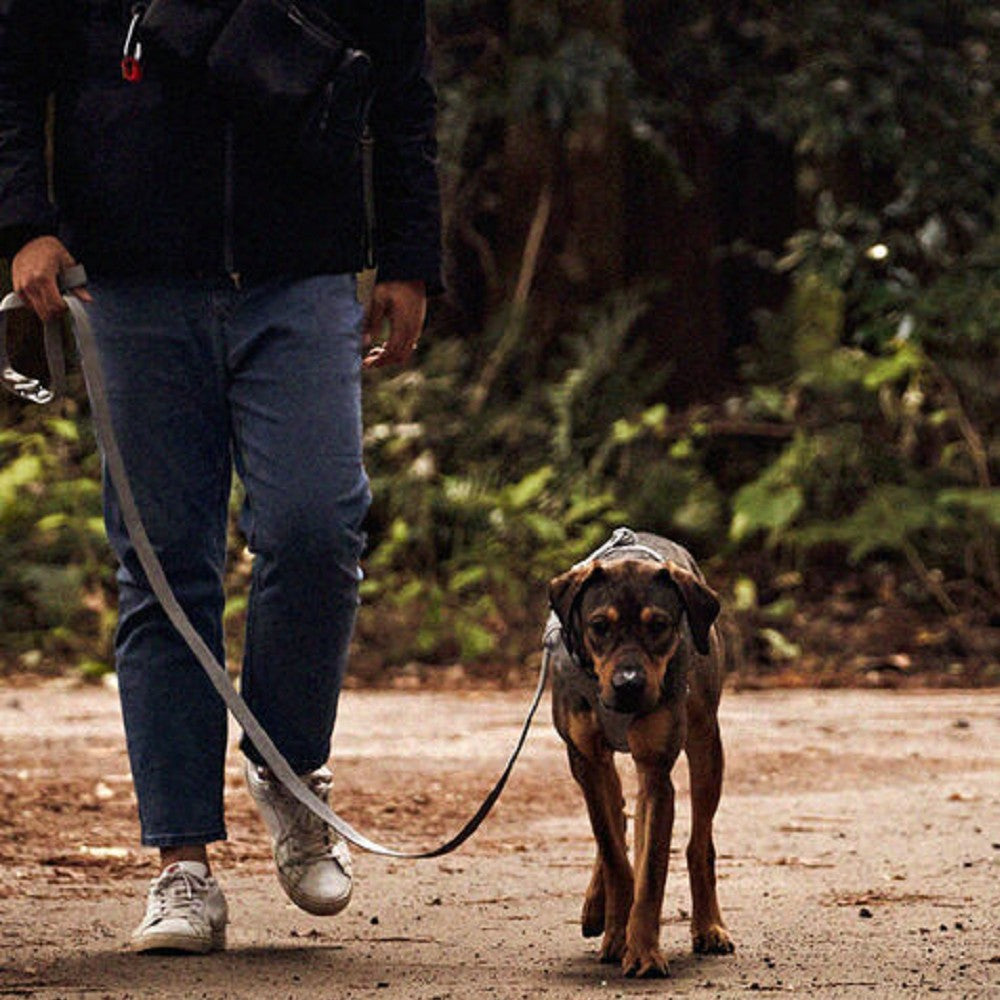 Interlaken G230 Buckle Dog Leash - Image 3
