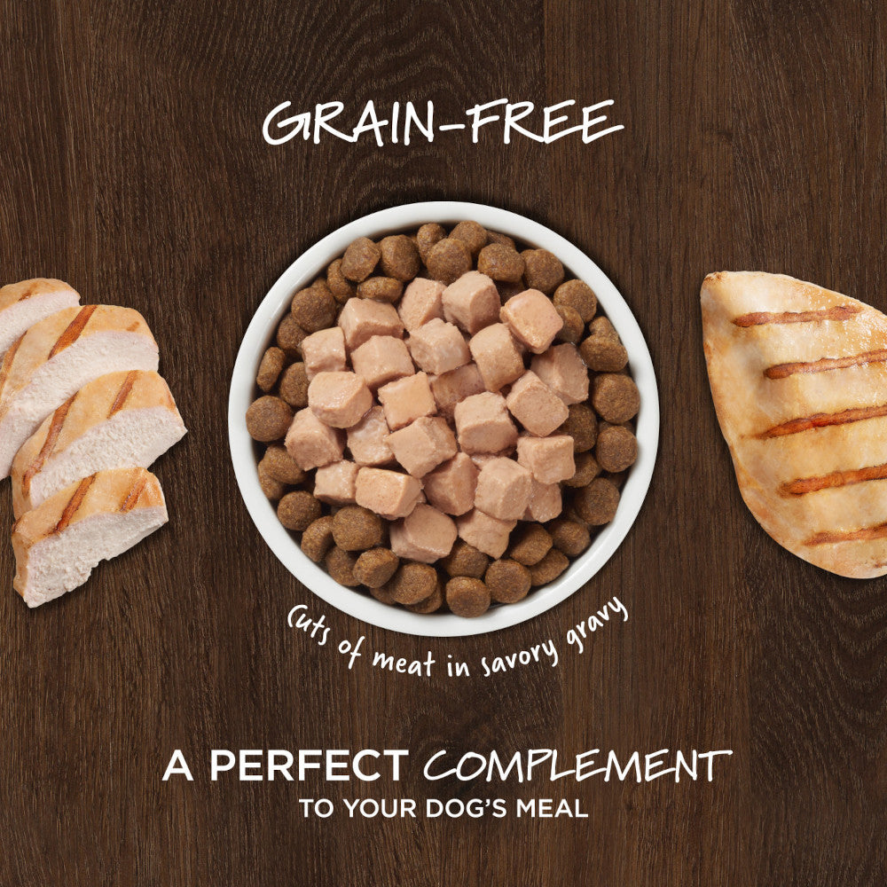 Healthy Cravings Grain Free Salmon Complement Dog Pouch - Image 2
