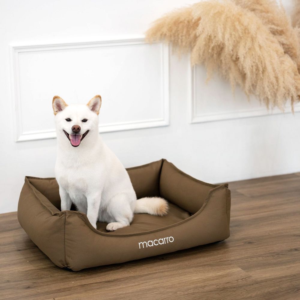 Cotton Latex Bed for Pets - Image 5