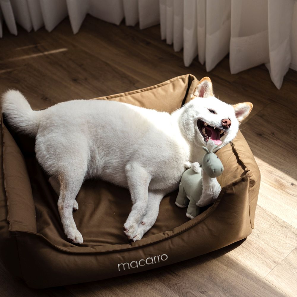 Cotton Latex Bed for Pets - Image 6