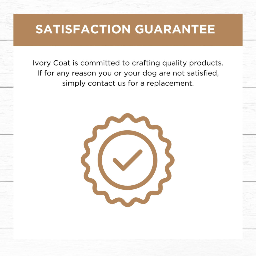 Frozen - Grain Free Slow Cooked Chicken for Adult Dog - Image 5