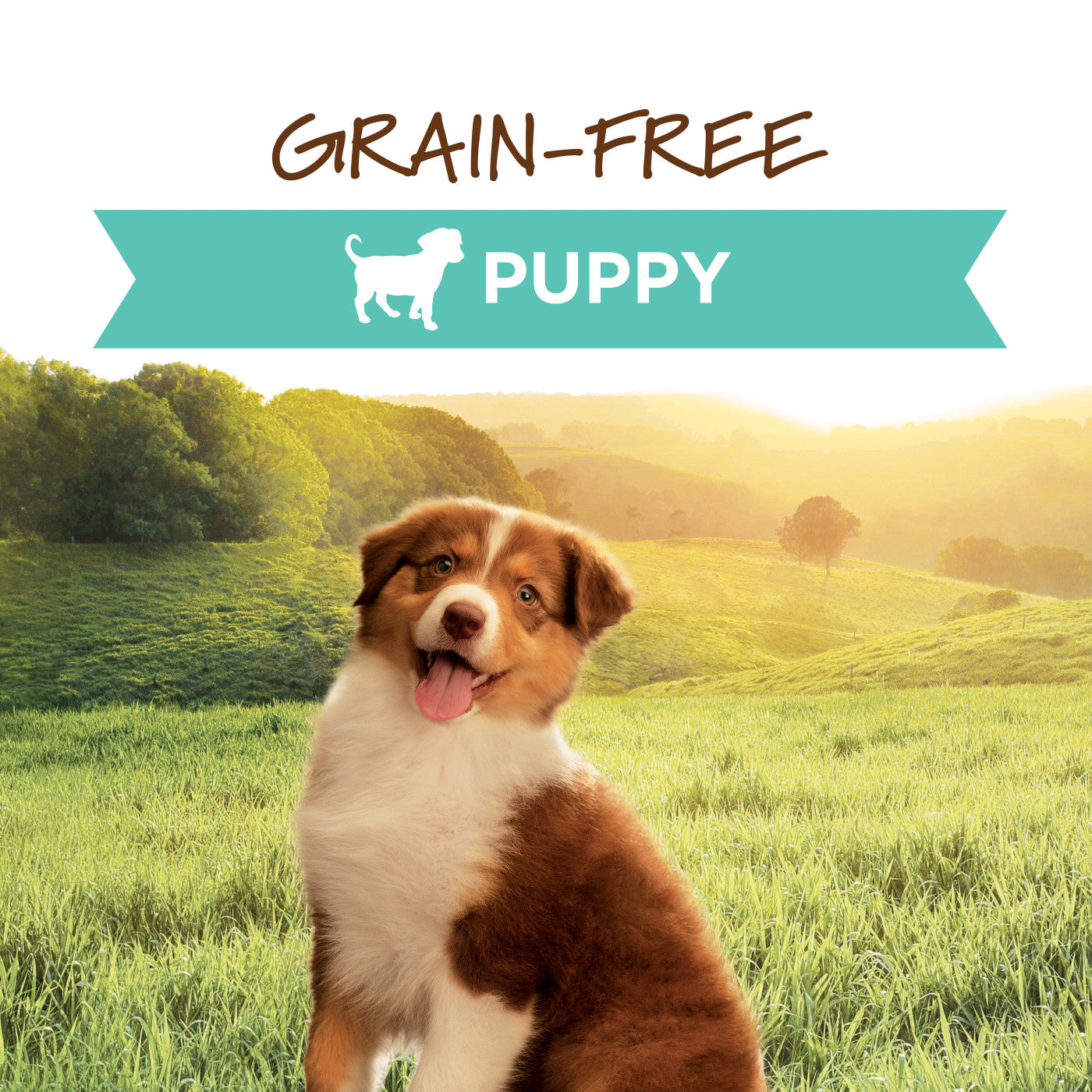 Original Grain Free Chicken Puppy Canned - Image 5
