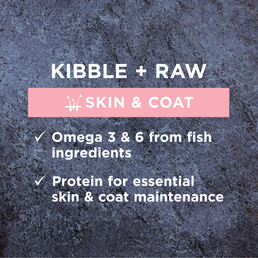 Raw Boost Skin & Coat Grain Free Kibble + Raw Adult Dog Dry Food - Chicken - Image 4