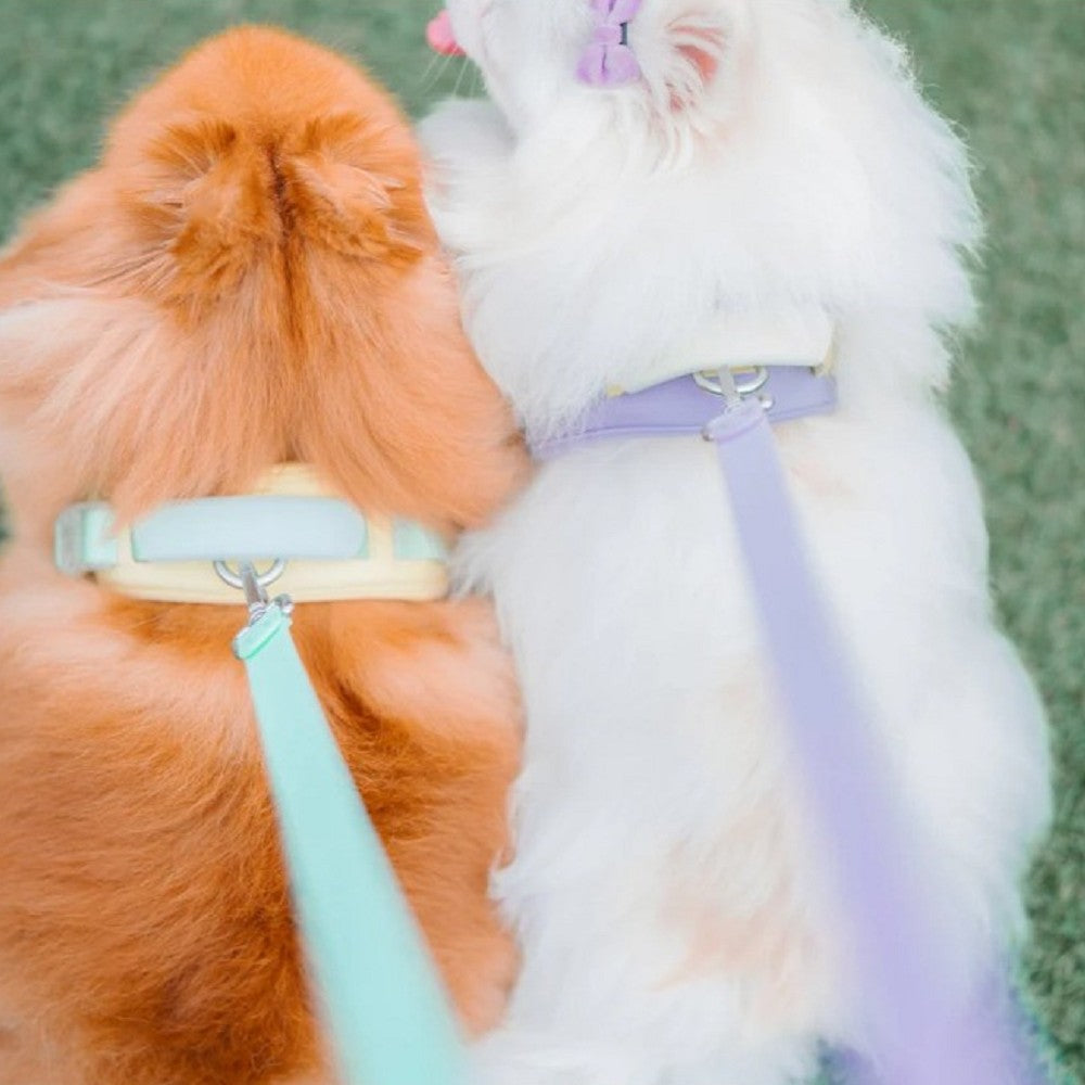 Jelly Harness - Image 8