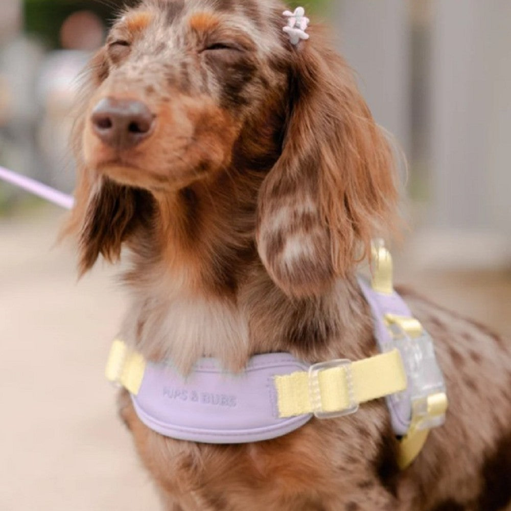 Jelly Harness - Image 3