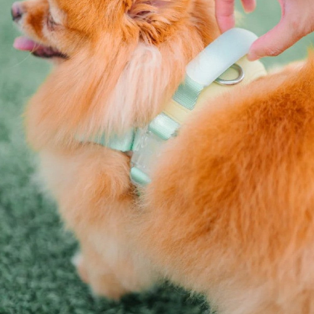 Jelly Harness - Image 4