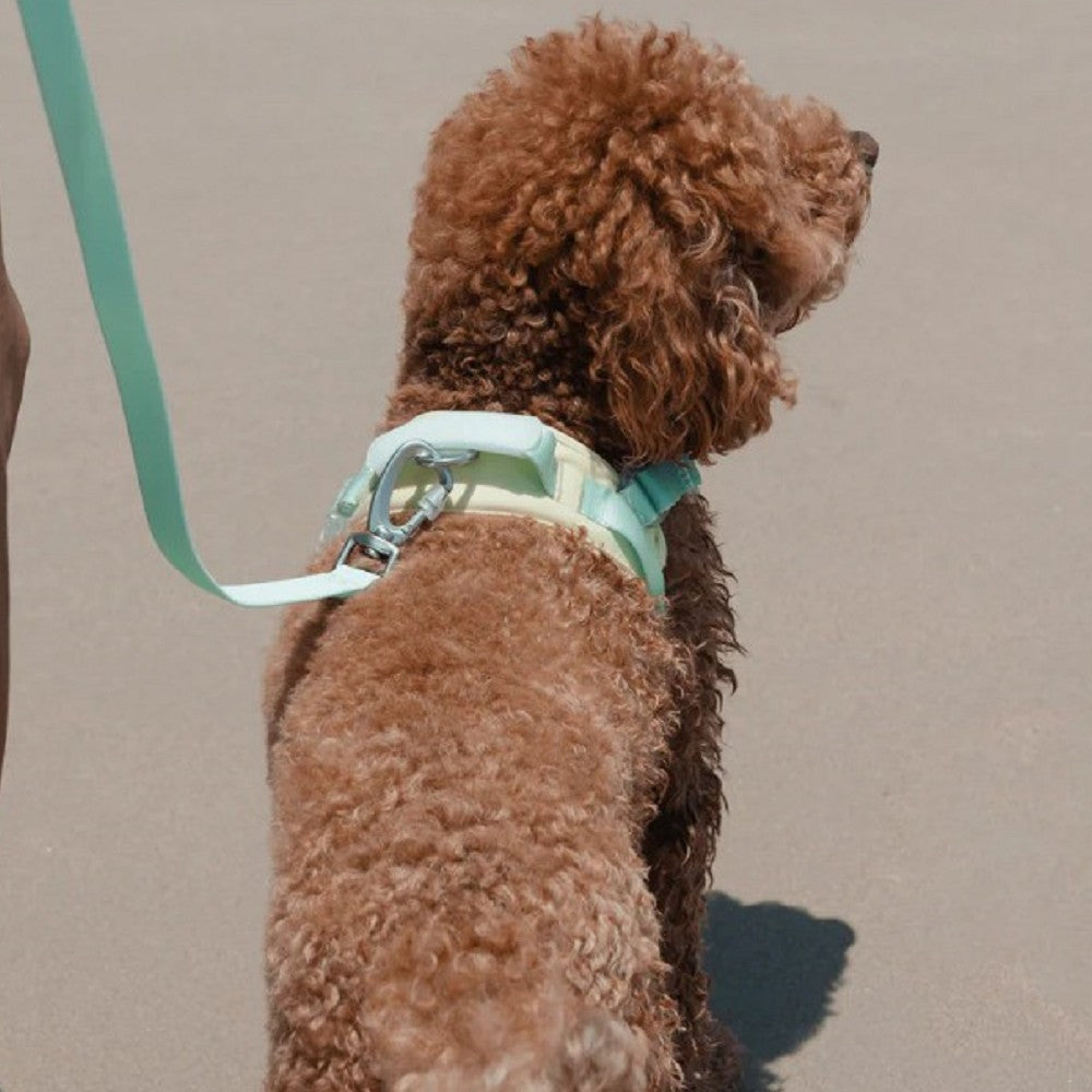 Jelly Harness - Image 5