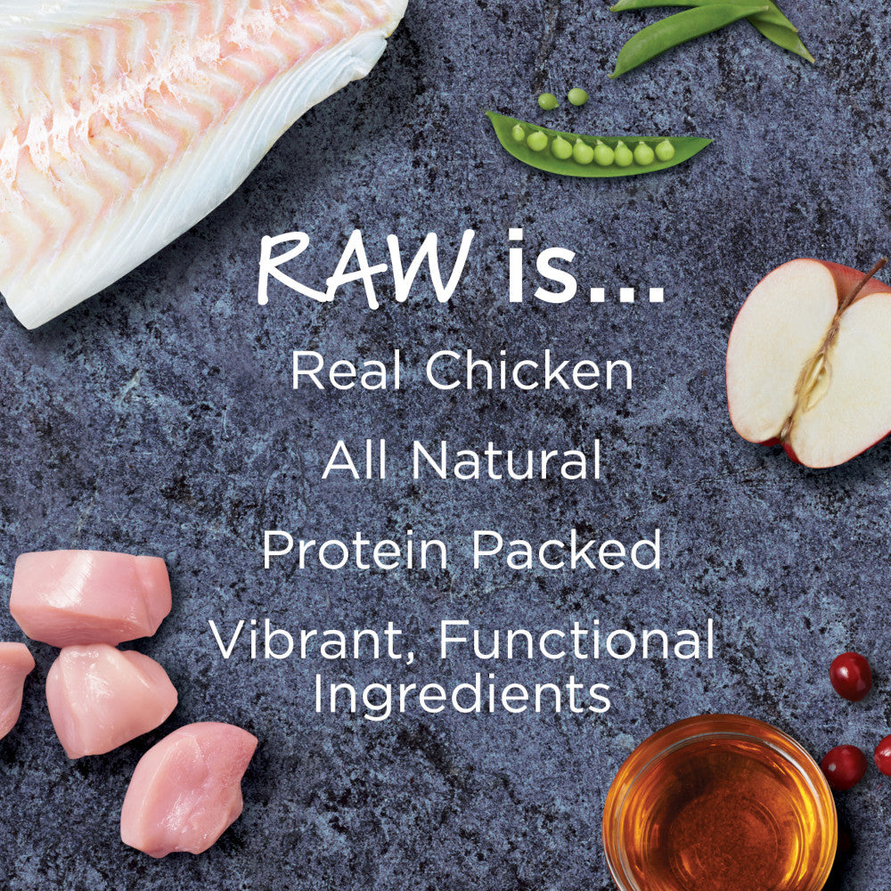 Raw Boost Skin & Coat Grain Free Kibble + Raw Adult Dog Dry Food - Chicken - Image 5