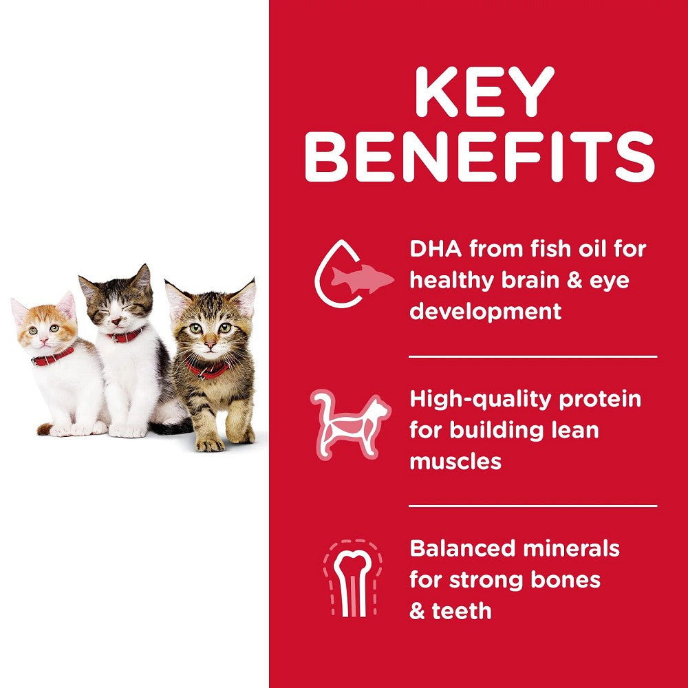 Science Diet - Everyday Diet Chicken Recipe for Kitten Cat Dry Food - Image 4