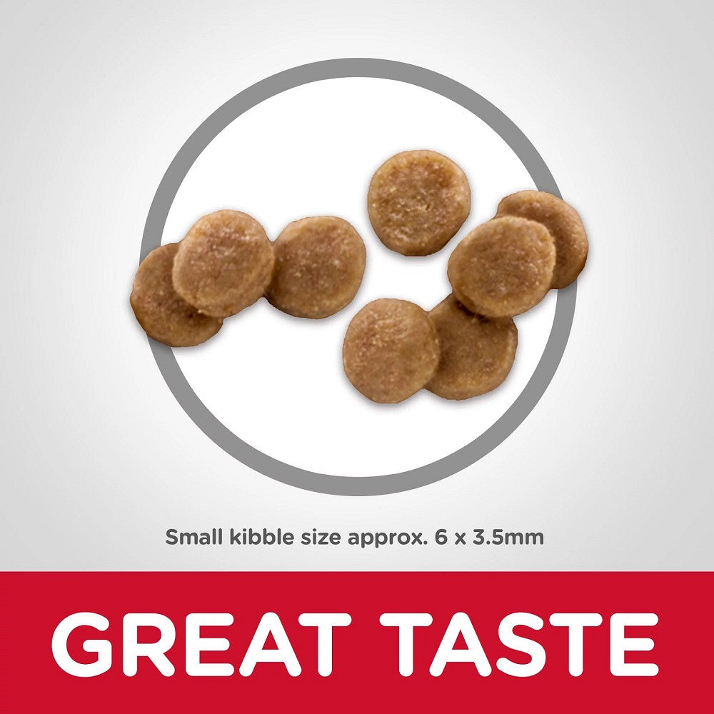 Science Diet - Everyday Diet Chicken Recipe for Kitten Cat Dry Food - Image 7