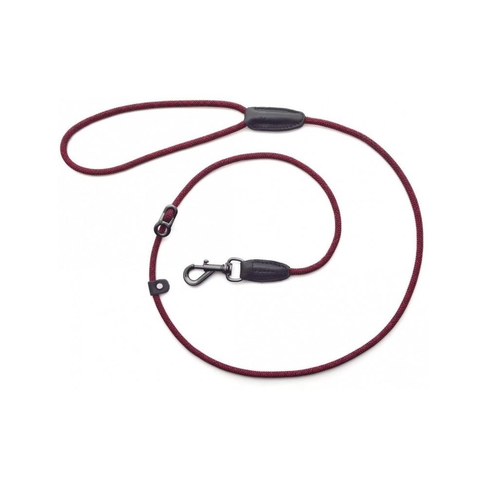 Metro Collar & Slip Leash - Image 12