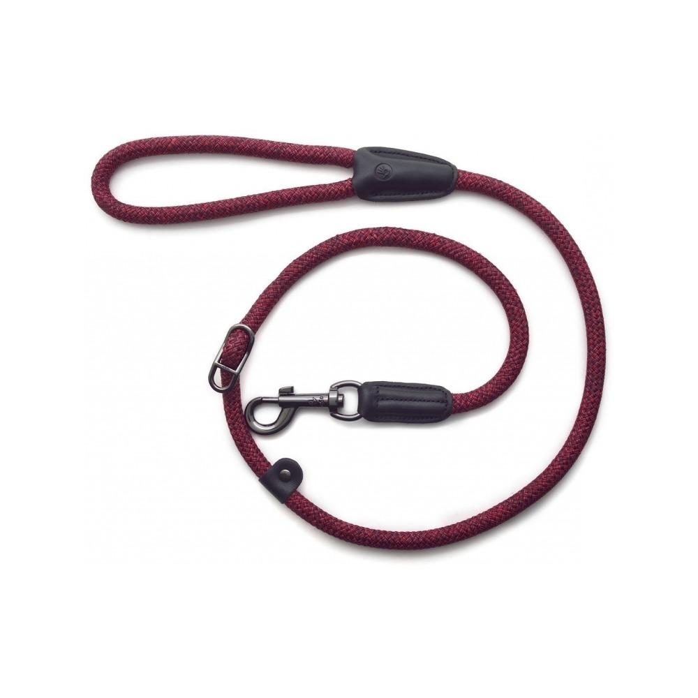 Metro Collar & Slip Leash - Image 4