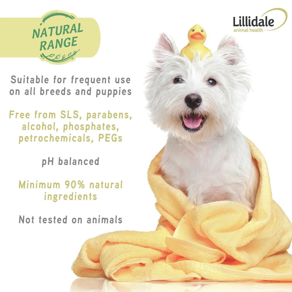 Itchy Wash for Dogs - Image 2