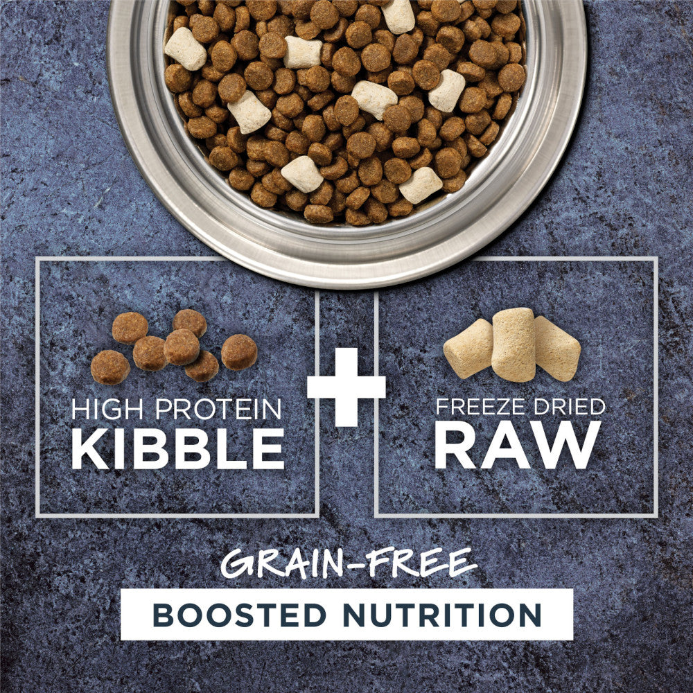 Raw Boost Grain-Free Recipe Kibble + Raw Dog Dry Food- Salmon - Image 3
