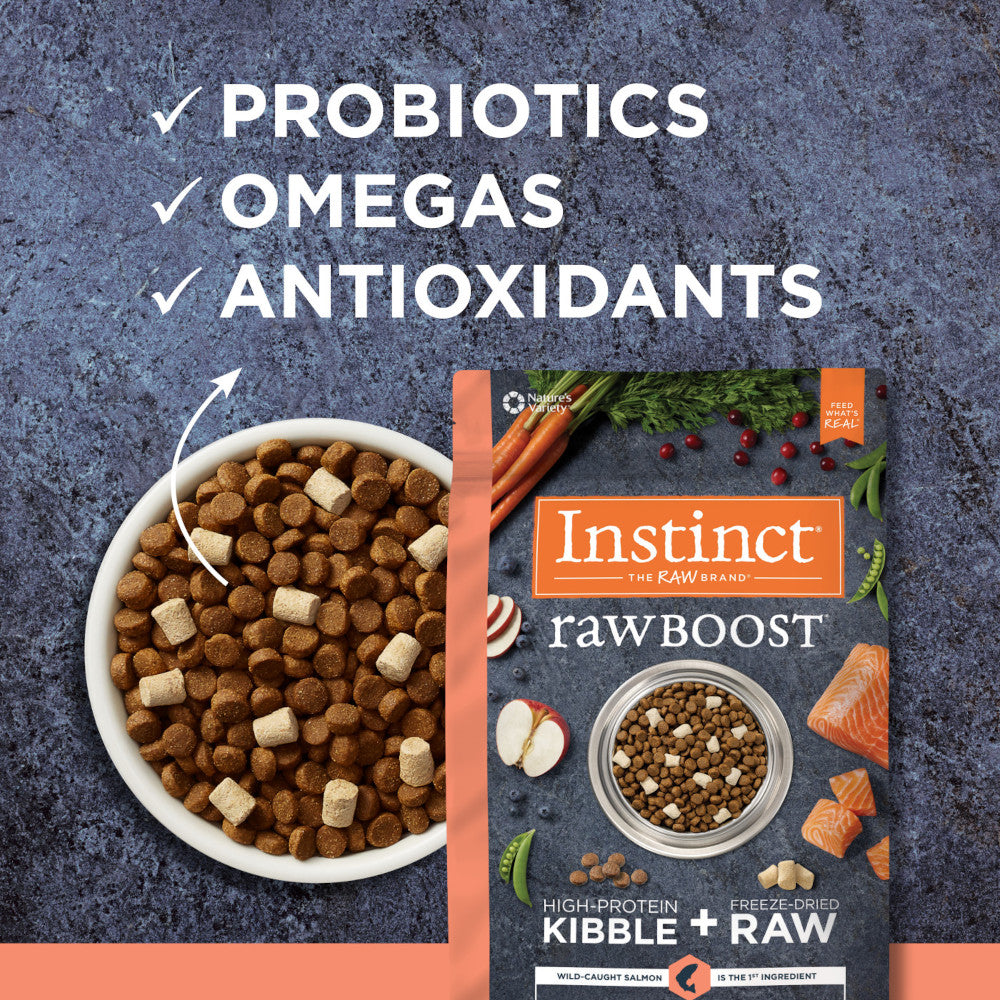 Raw Boost Grain-Free Recipe Kibble + Raw Dog Dry Food- Salmon - Image 6