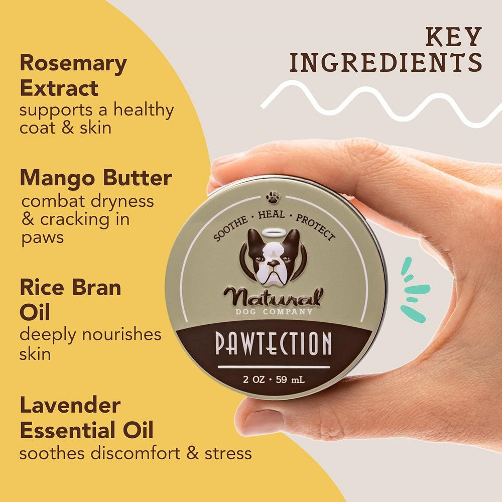 Healing Balm - Paw Tection for Dogs - Image 4