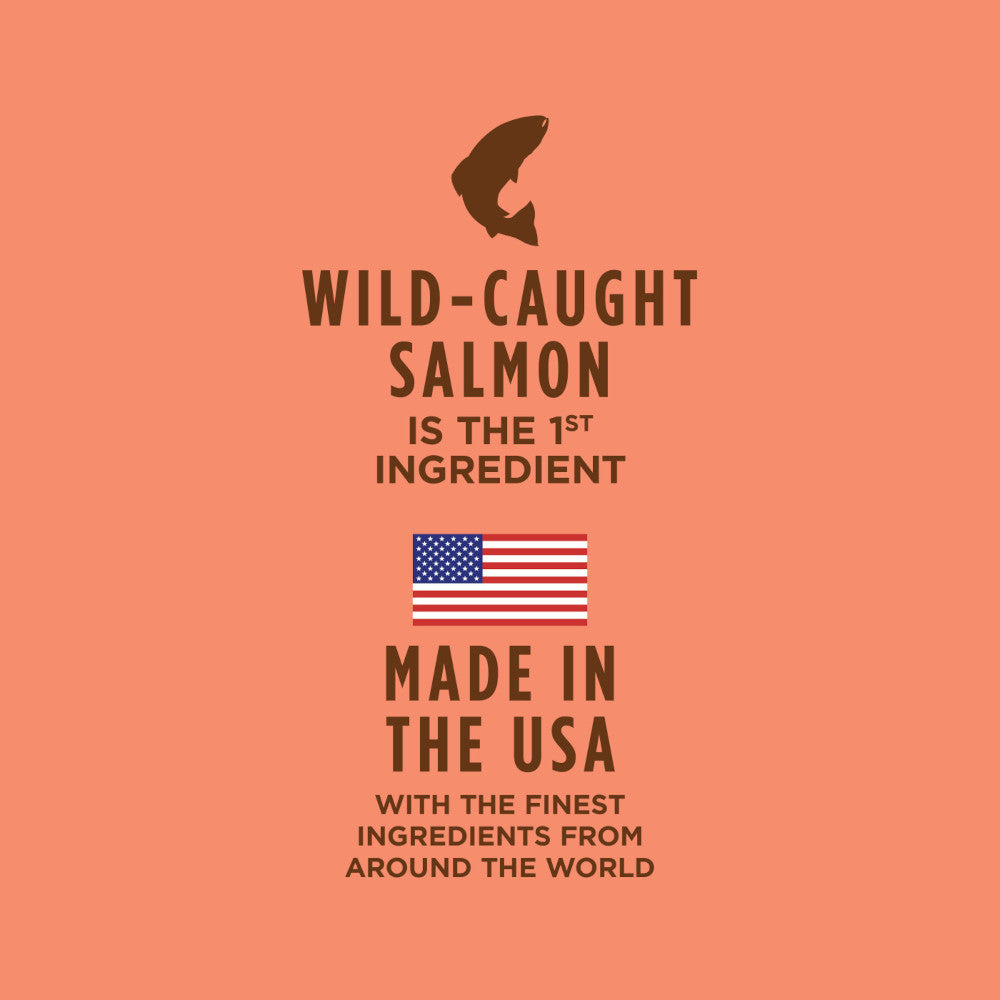 Healthy Cravings Grain Free Salmon Recipe Cat Pouch - Image 4