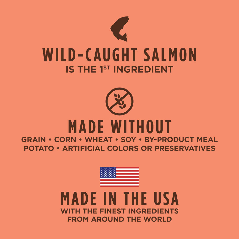 All Life Stages Original Grain Free Salmon Dog Dry Food - Image 4