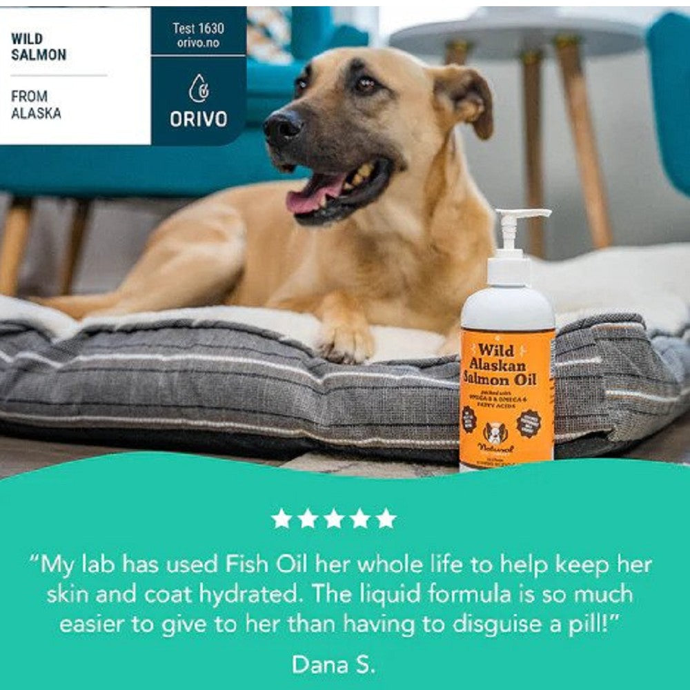 Wild Alaskan Salmon Oil Food Supplement for Dogs - Image 6
