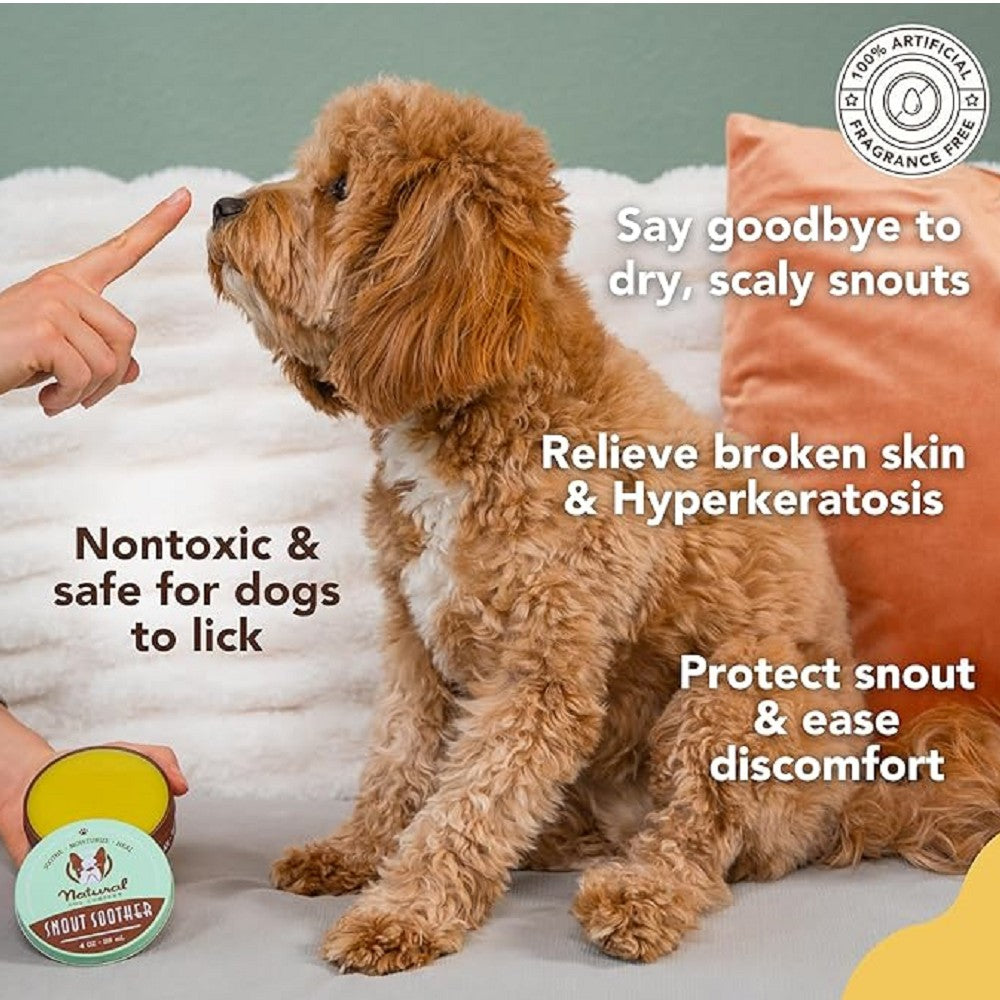 Healing Balm - Snout Soother for Dogs - Image 3