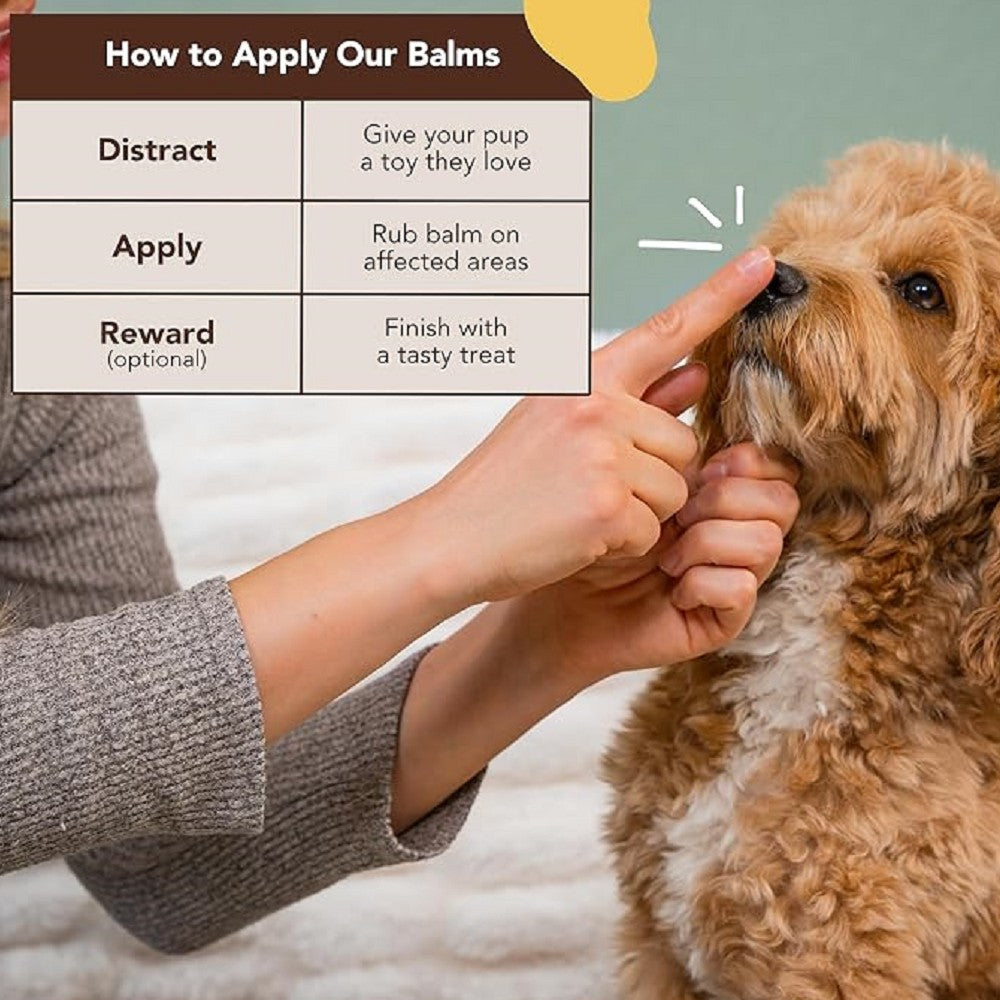 Healing Balm - Snout Soother for Dogs - Image 4