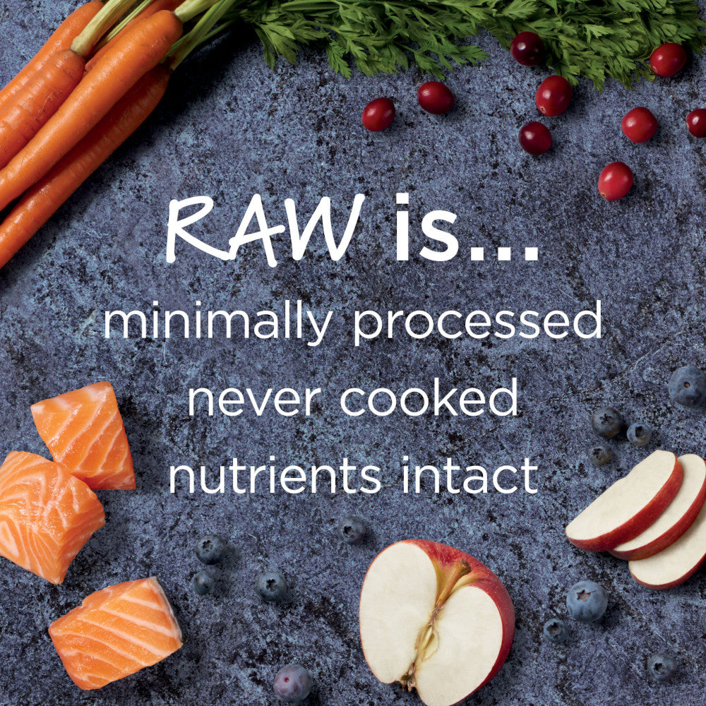Raw Boost Grain-Free Recipe Kibble + Raw Dog Dry Food- Salmon - Image 4
