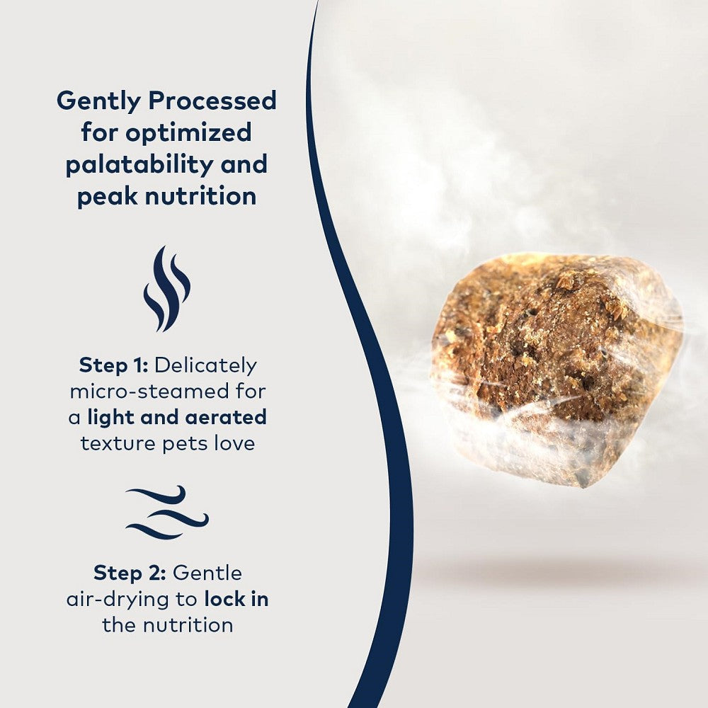 Steam & Dried - Grass-Fed Beef With Pumpkin Dog Food - Image 4
