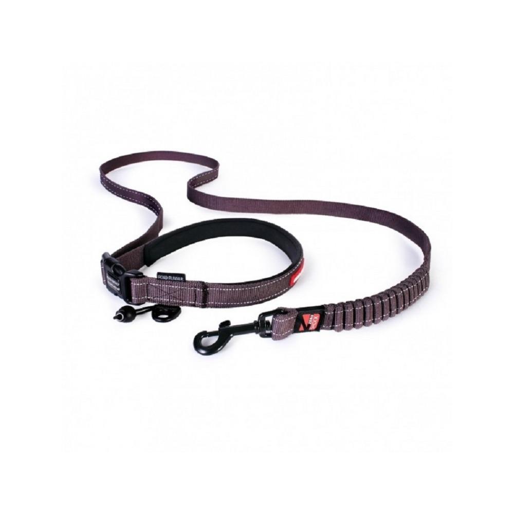Road Runner Dog Leash - Image 14