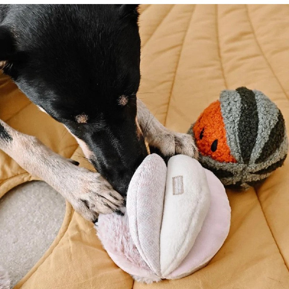 Toto Squeaky Snuffle Ball Dog Toy - Image 4