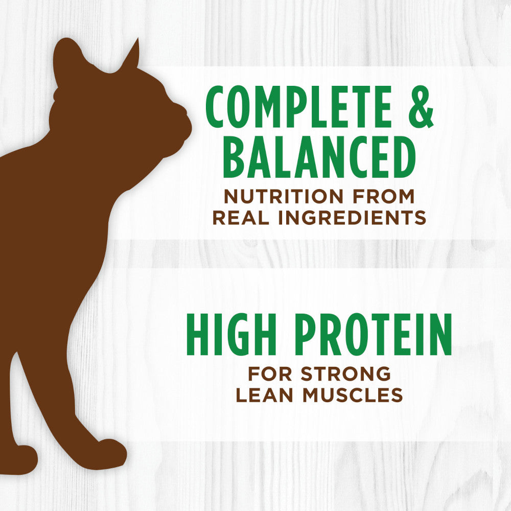 All Life Stages Original Grain Free Lamb Cat Can - Image 5