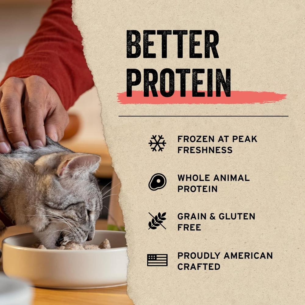 Freeze Dried Raw - Turkey Entree Mini Nibs Cat Food - Image 3