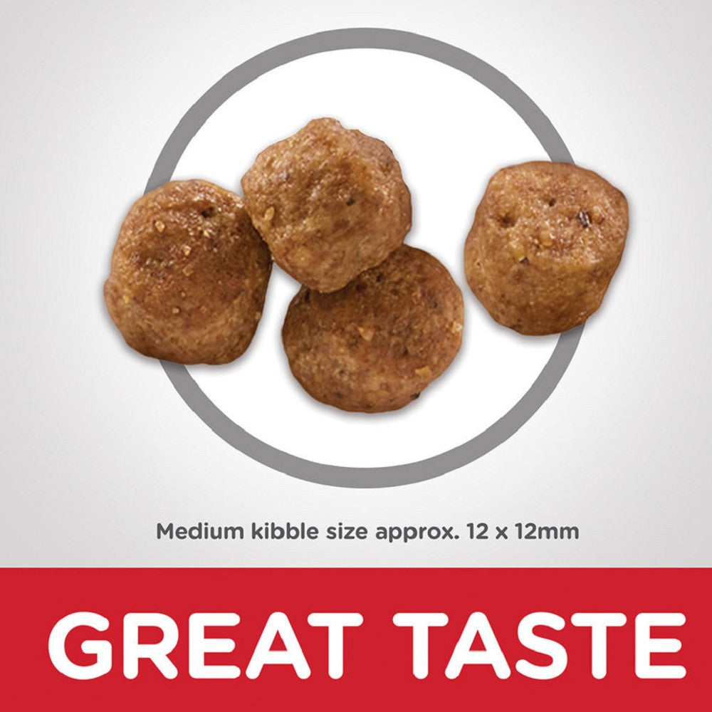 Science Diet - Everyday Diet - Chicken Meal, Barley & Rice Adult 7+ Dog Dry Food - Image 3
