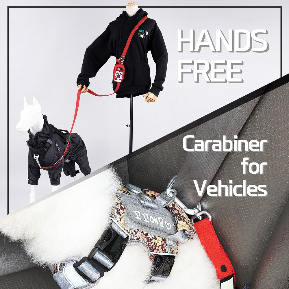 Interlaken G230 Buckle Dog Leash - Image 4