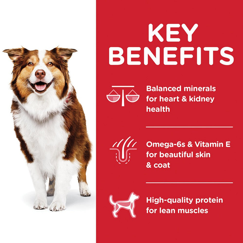 Science Diet - Everyday Diet - Chicken Meal, Barley & Rice Adult 7+ Dog Dry Food - Image 4