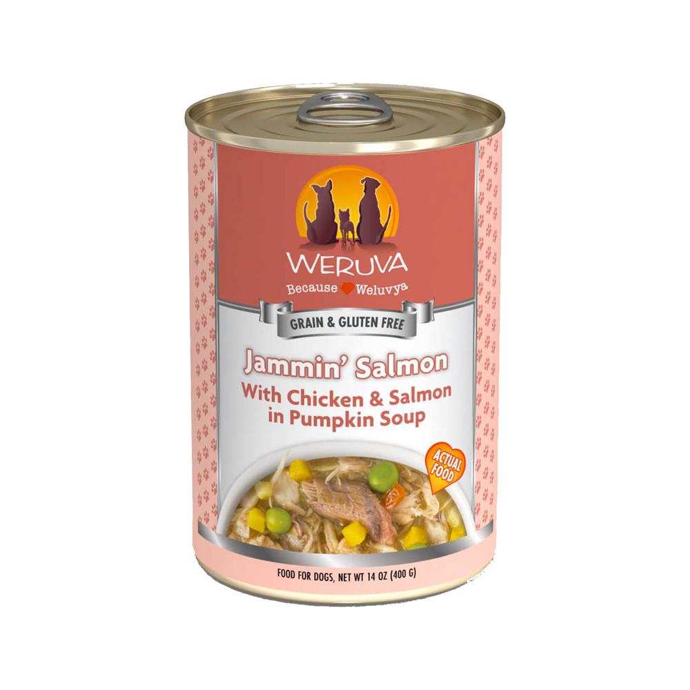 Weruva - Jammin' Salmon Chicken & Salmon in Pumpkin Soup Dog Can 14 oz