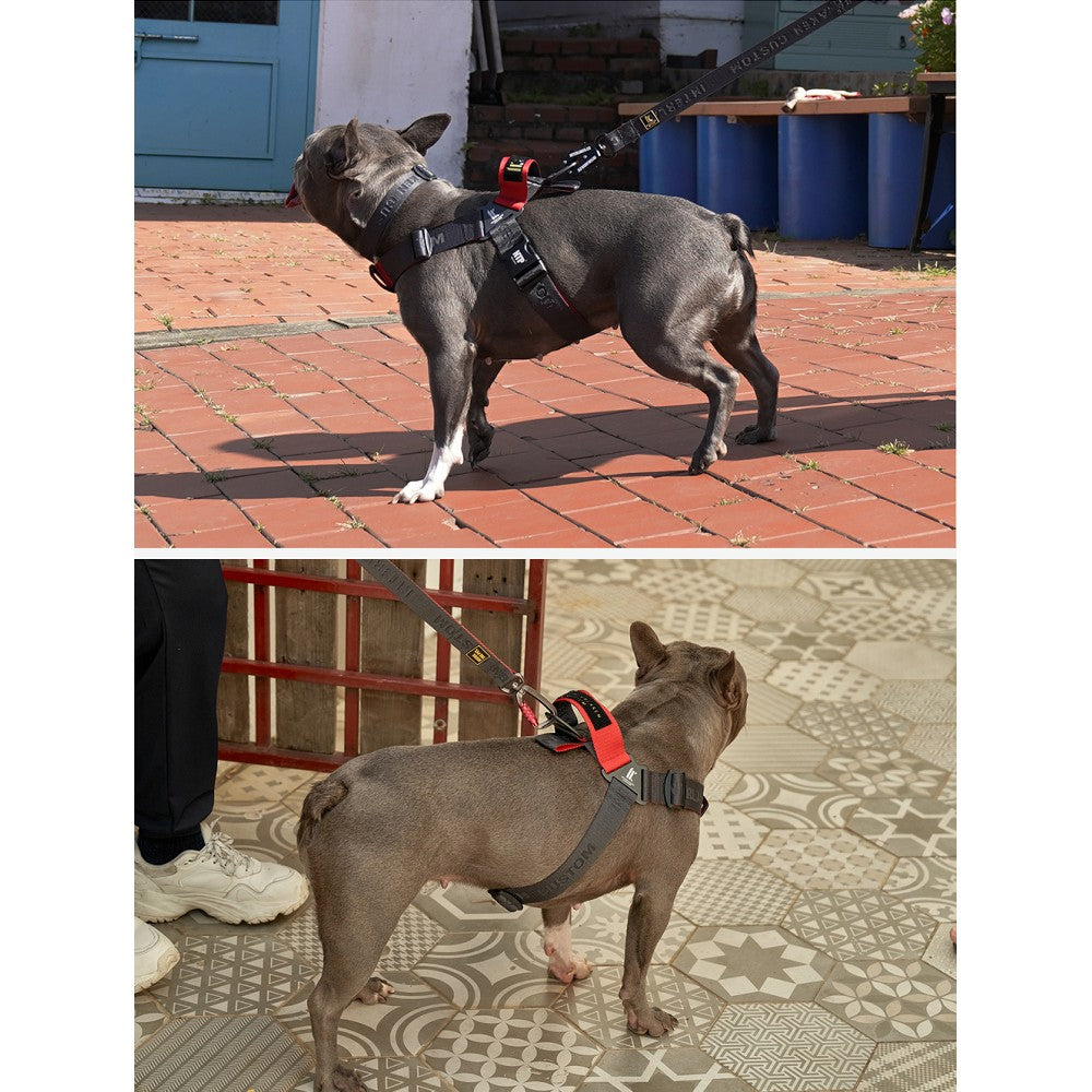 Earthtec Y Strap Dog Harness - Image 4