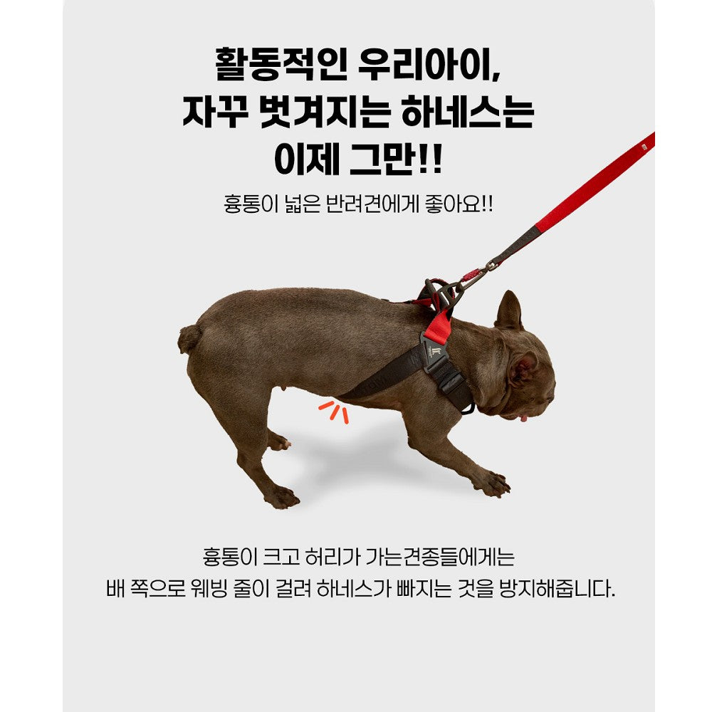 Earthtec Y Strap Dog Harness - Image 5