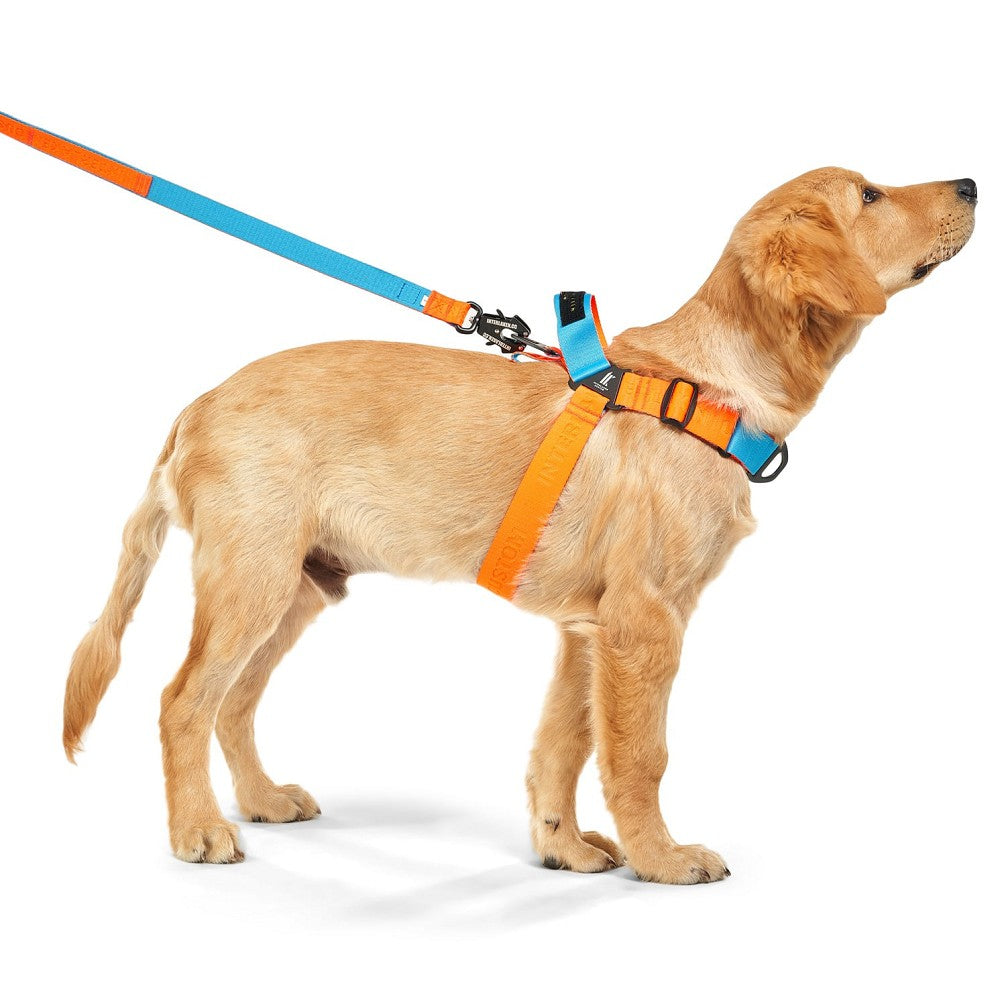 Earthtec Y Strap Dog Harness - Image 6