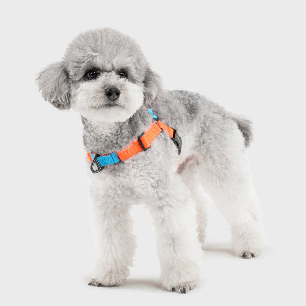 Earthtec Y Strap Dog Harness - Image 7